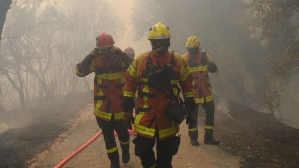 Во Франции из-за лесных пожаров пострадали 27 человек