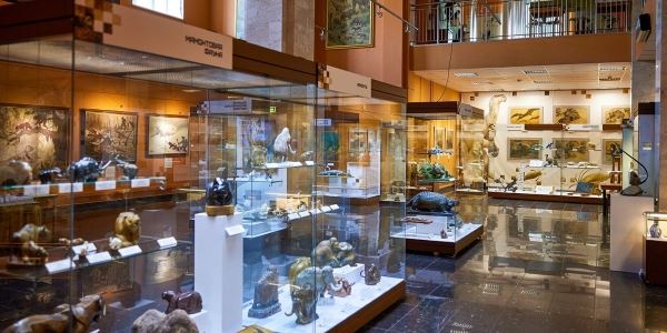 Выставка «Русский палеоарт» открылась в Дарвиновском музее в столице